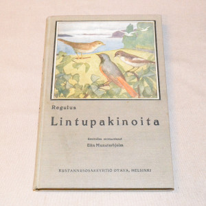 Regulus Lintupakinoita